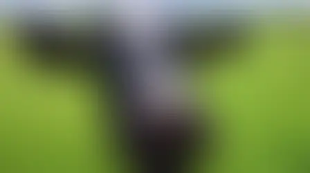 「蛋白質互補理論」是個迷思