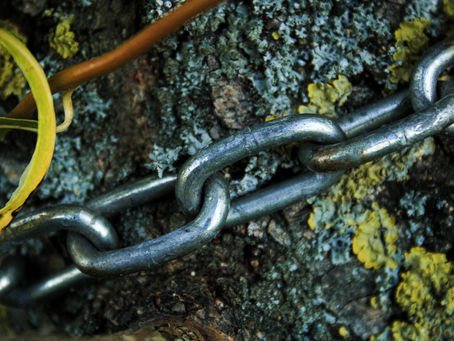 Sustainability Connected - II