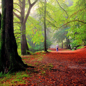 Day 12 ~ Welcoming change is Natural ~ Getting Unstuck : Creating a Limitless Life