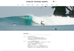 EVOLVE FUTURE SHAPE