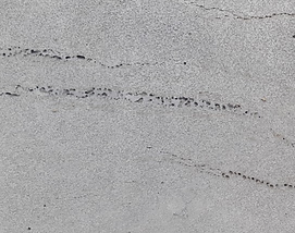 스크린샷 2025-12-31 111715.png