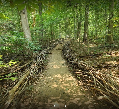 Seneca Regional_2.jpg