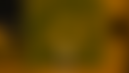 STATUS REPOwORT - 20251006 - 20251011