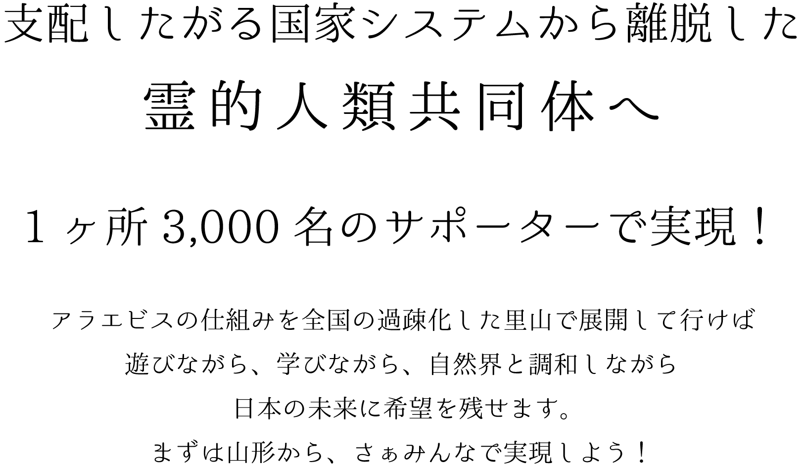 アラエビス構想.gif