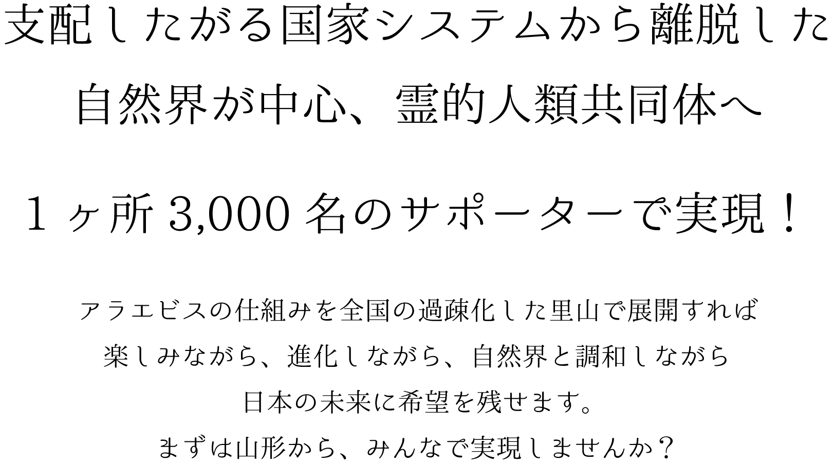 アラエビス構想.gif