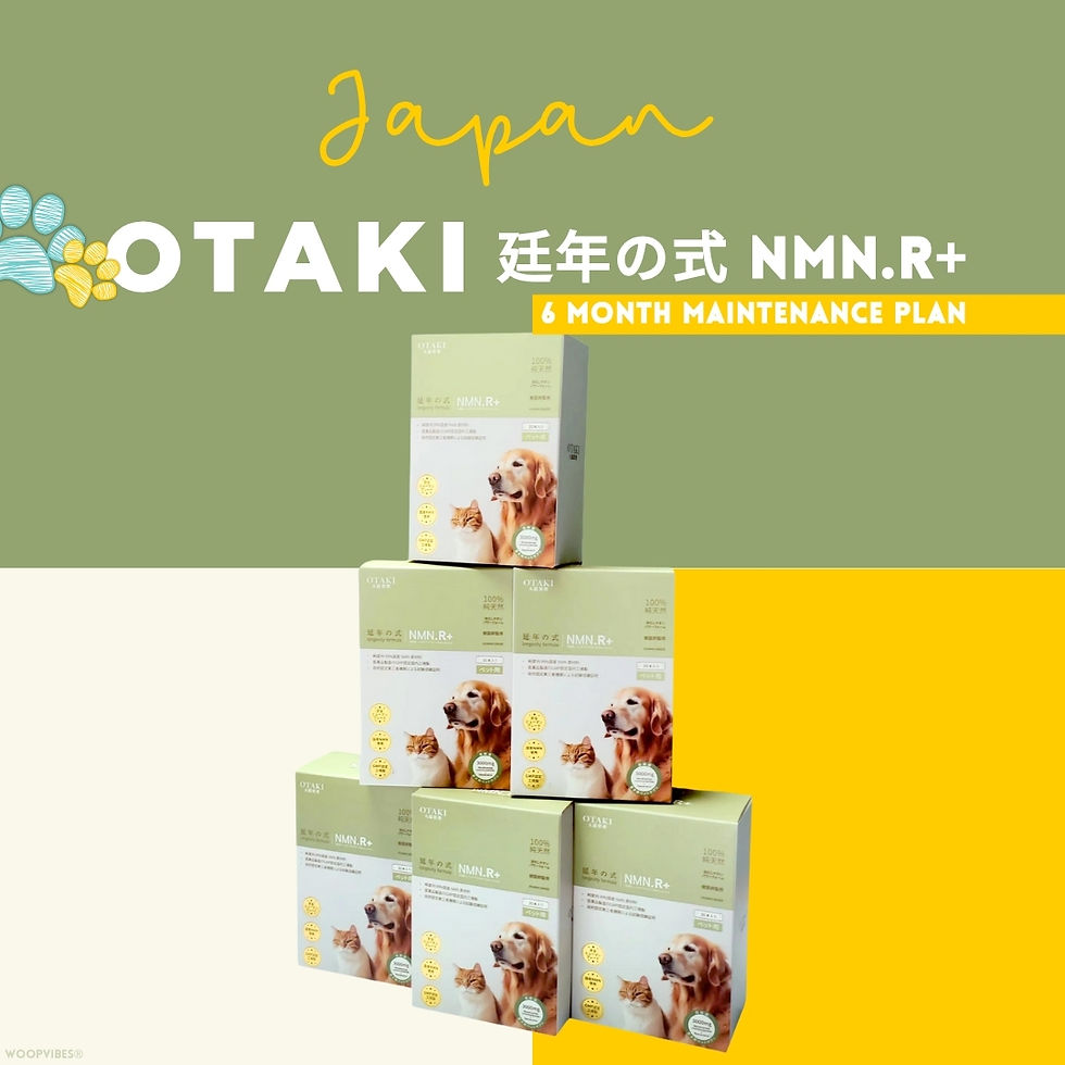 OTAKI - 廷年の式 NMN.R+ (犬貓營養補充品) x6