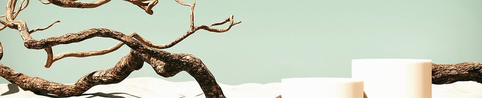 面部殺菌, 除菌噴霧 -banner02