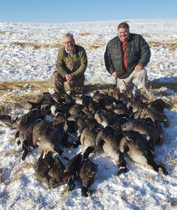 72763728_119861606133470_513889830489292