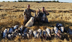 74703575_103480921104872_714778551432459