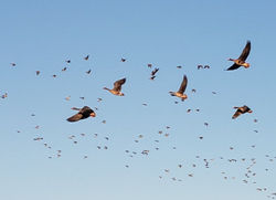 148598835_460847101957331_80773092692393