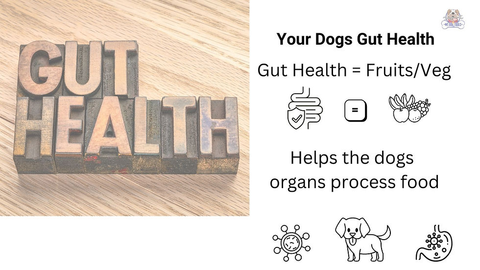 Thumbnail: FREE Dog Nutrition Guide
