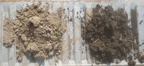 good-soil.jpg