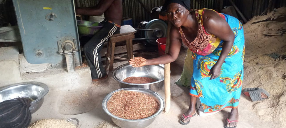 woman-harvest-2026.jpg