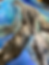 Thumbnail: Nurture