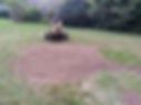After stump grinding
