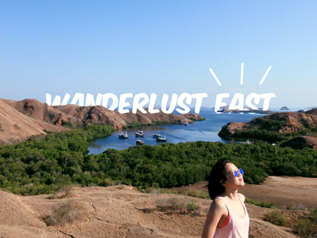Traveling ke Labuan Bajo, Bertemu Komodo - PART 2