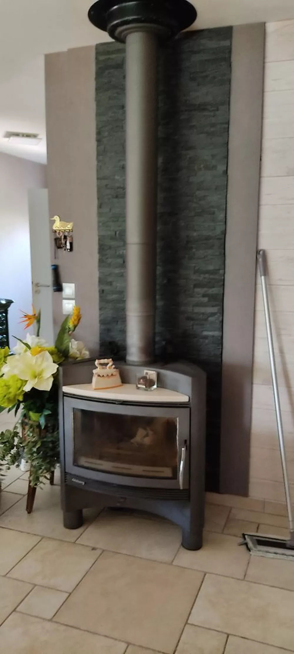 Poêle à bois occasion