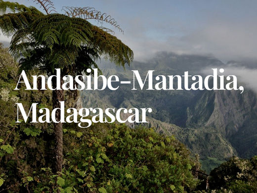 Andasibe-Mantadia, Madagascar