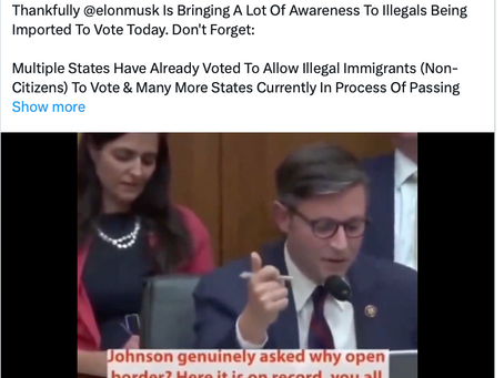 Elon Musk: Illegals Being Imported to Vote