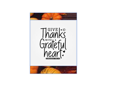 Showcase: MFE Volunteers Give Thanks on Thanksgiving