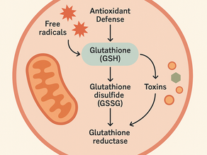 glutathione:%20The%20Master%20Antioxidant%20for%20Detox,%20Immunity%20&%20Longevity%0A%0A