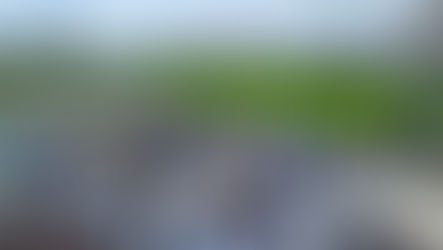 羽ノ浦町で【舟のある広場まつり】が開催されました!🚢🌷