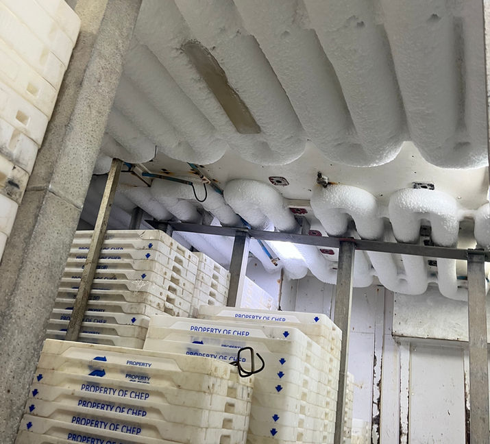 Fridge repairs Cornwall
Freezer repairs in Cornwall
Air con repairs in Cornwall
Air con install in Cornwall
Coldrooms in Cornwall
Freezer room in Cornwall
Cooling Solutions
HVAC Services
Air Conditioning Installation
Commercial Cooling Systems
Residential Cooling Services
Concept Cooling Ltd
Cornwall Cooling Services
Redruth HVAC Experts
Energy-Efficient Cooling
Climate Control Solutions
Air Conditioning Repair
HVAC Maintenance
Industrial Cooling Systems
Refrigeration Services
Heat Pump Installation
Cooling Services in Redruth
Cornwall HVAC Services
Local Cooling Experts
Redruth Air Conditioning
Cornwall Climate Control
Best HVAC Services in Cornwall
Affordable Air Conditioning Installation Redruth
Energy-Efficient Cooling Systems Cornwall
Reliable HVAC Maintenance Redruth
Professional Cooling Solutions Cornwall
Concept Cooling Ltd Reviews
Concept Cooling Ltd Services
Contact Concept Cooling Ltd
Concept Cooling Ltd Testimonials
Concept Cooling Ltd Projects
Marine refrigeration 
Marine air conditioning 
