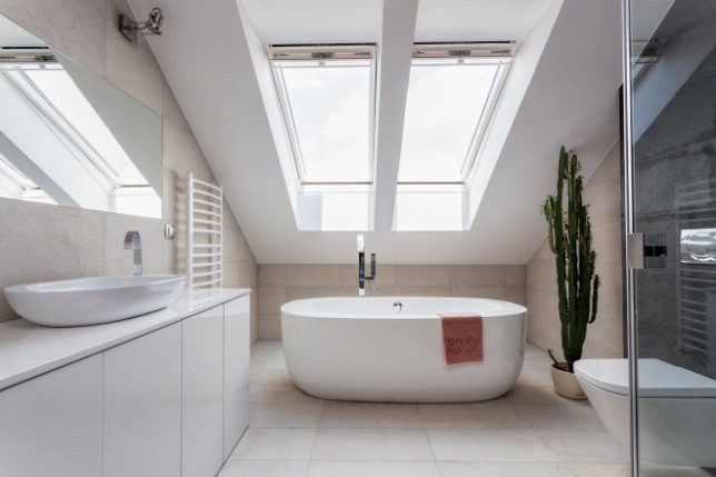 Loft Conversion