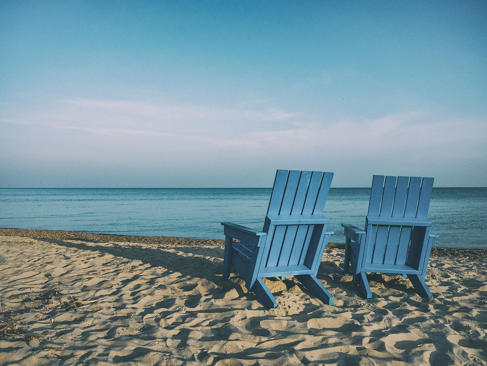 Pet Sitting and Pet-Friendly Vacations at Ocean Isle Beach and Sunset Beach, NC: Your Local Concierge Guide