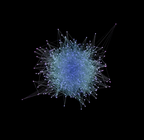 output5.gif