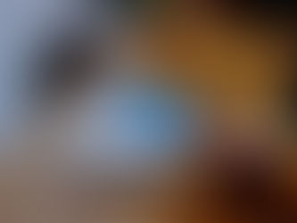 How Much Does A Prenuptial Agreement Cost?