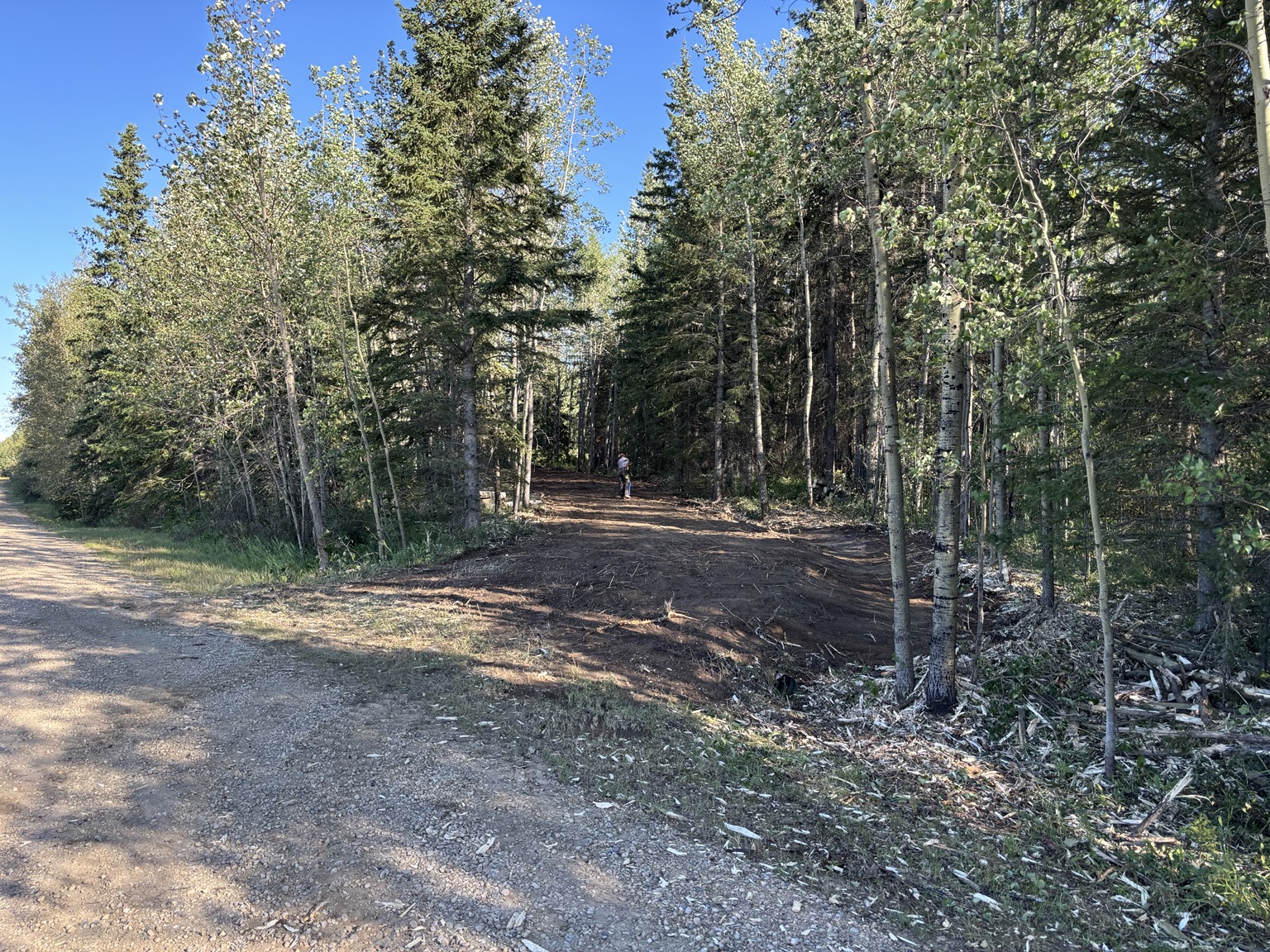 Cleared access corridor through wooded acreage
