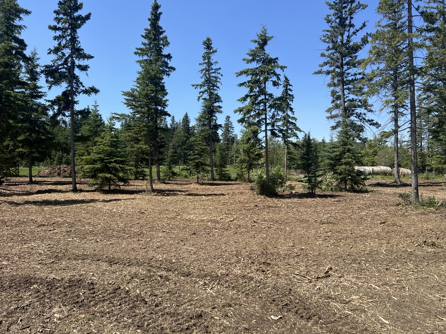 Finished acreage after forestry mulching and selective clearing