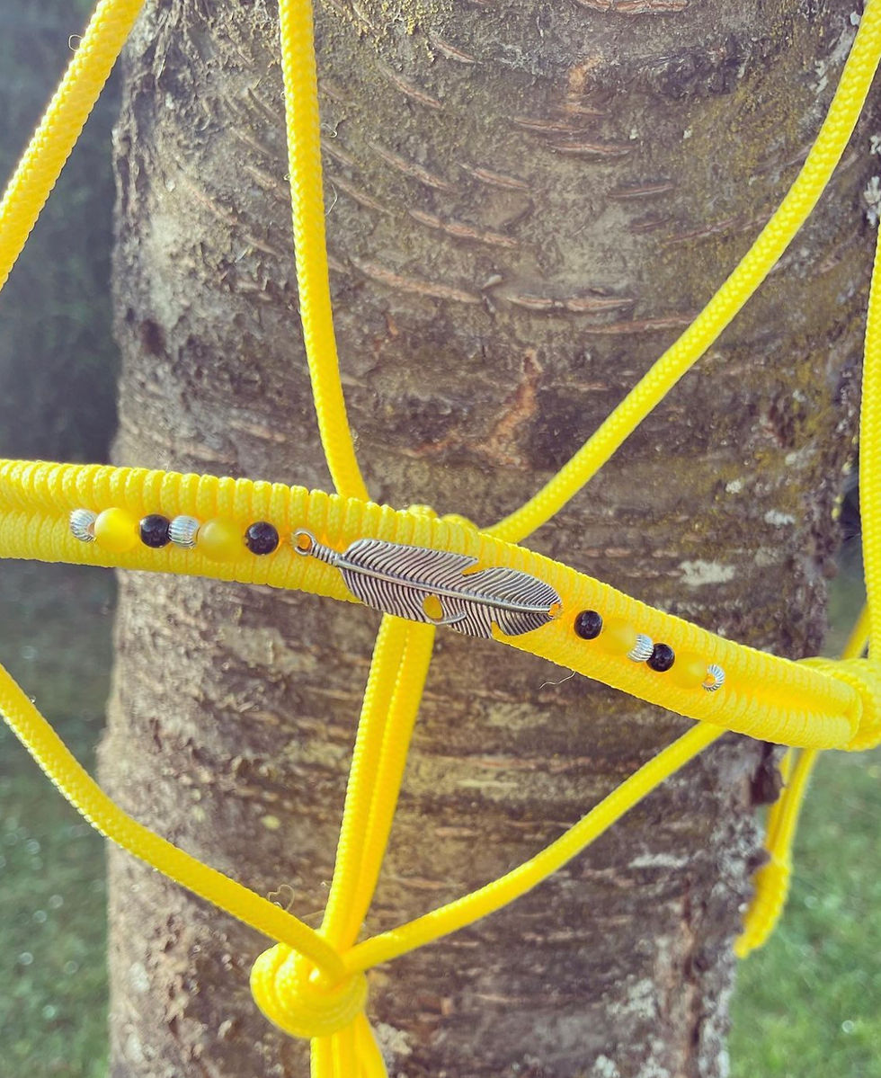 Miniature : Licol tressage +perles+plume