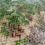 Thumbnail: Bird netting 4m*75m (new)