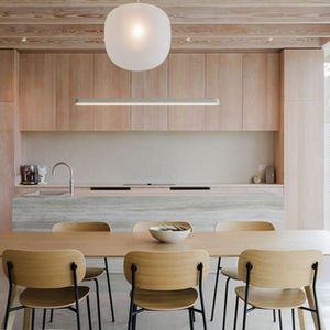 Modern Kitchen with Wooden Accents