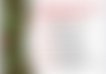 Розпорядок Різдвяних Богослужінь