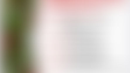 Розпорядок Різдвяних Богослужінь