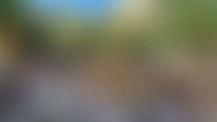 День Незалежності України на парафії Пресвятої Родини у Відні