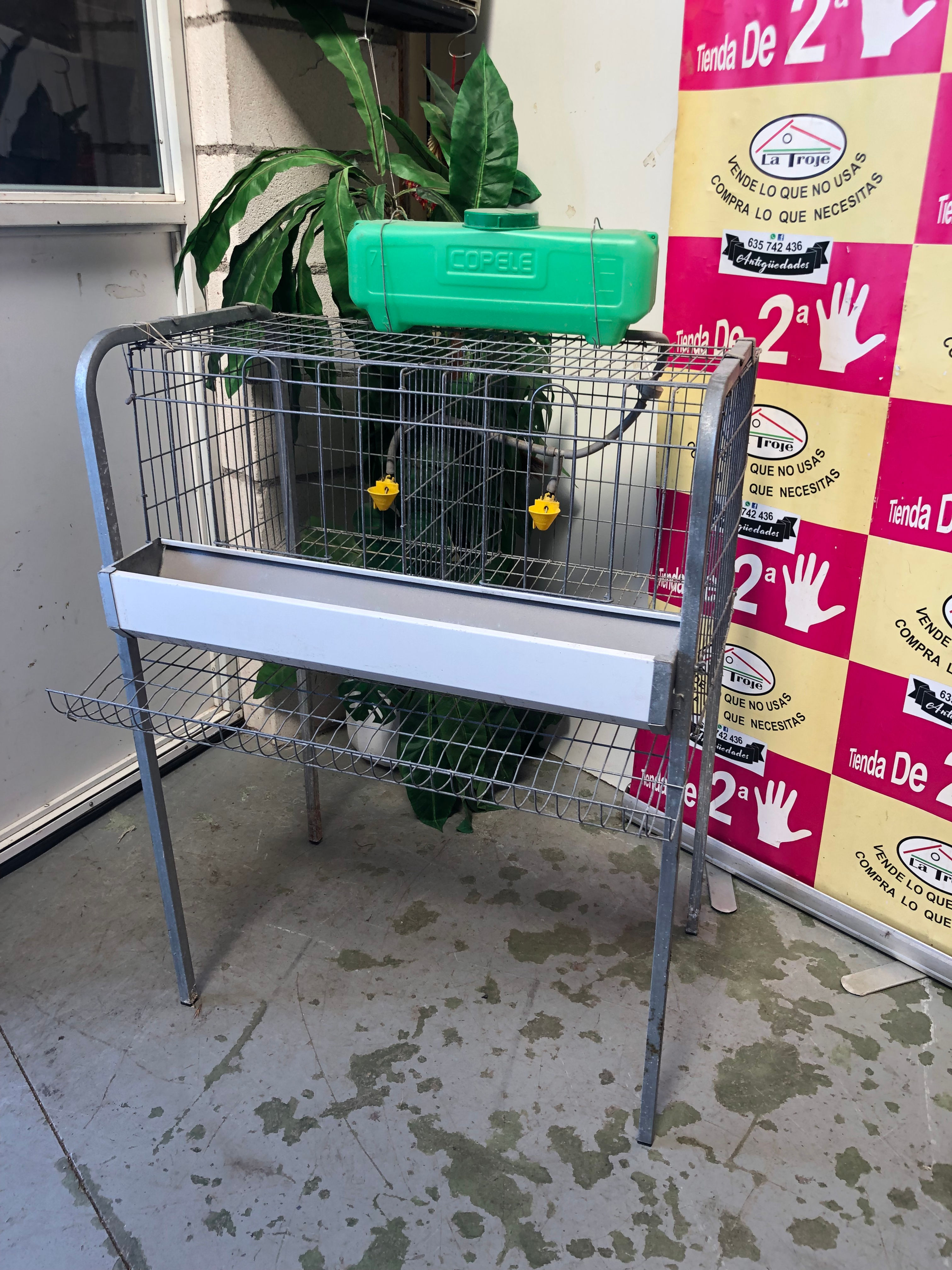 jaula gallinas 270724