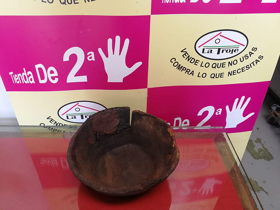 080618 CUENCO DE VERRUGA DE ENCINA