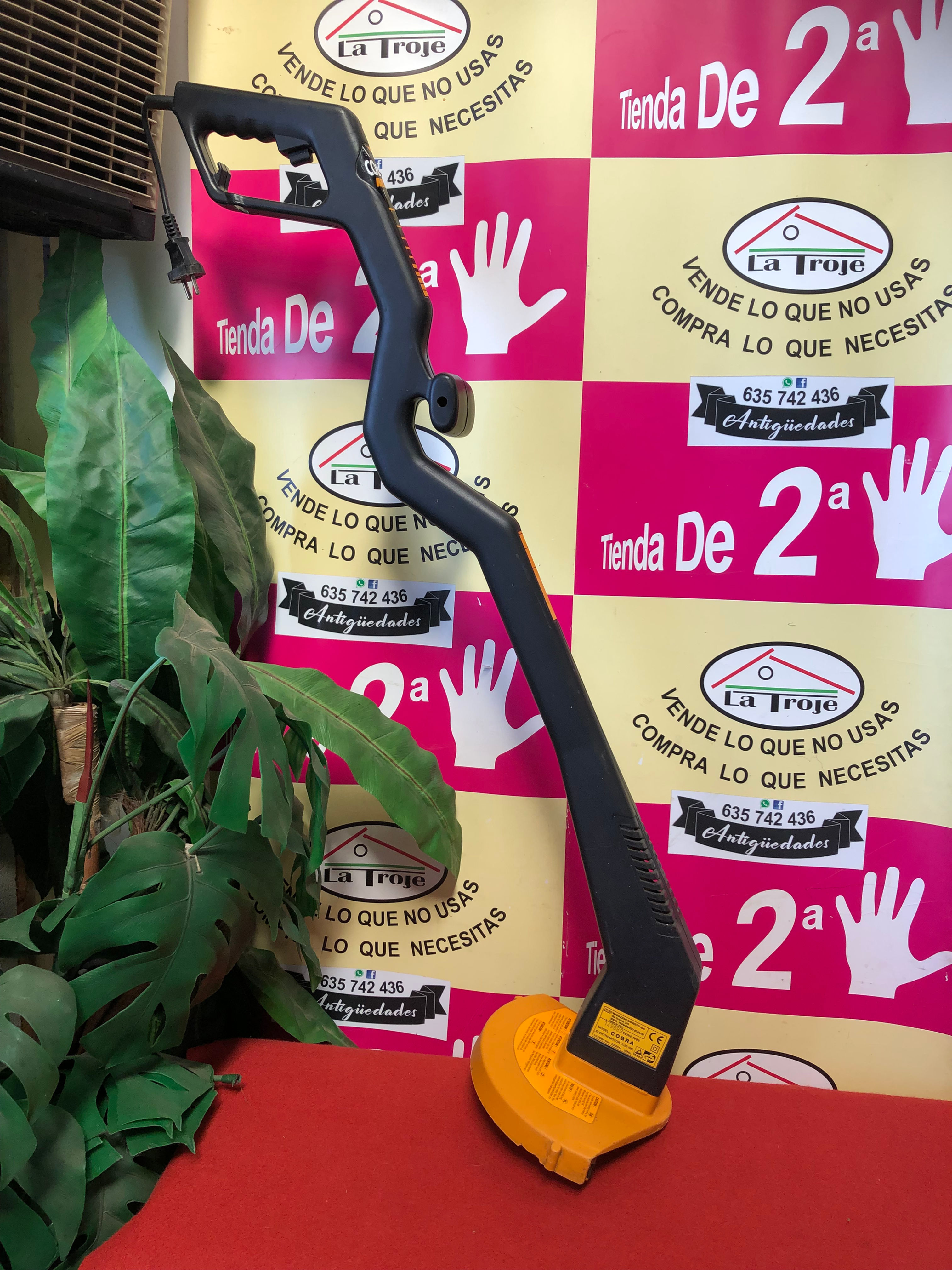 corta bordes cesped 030723