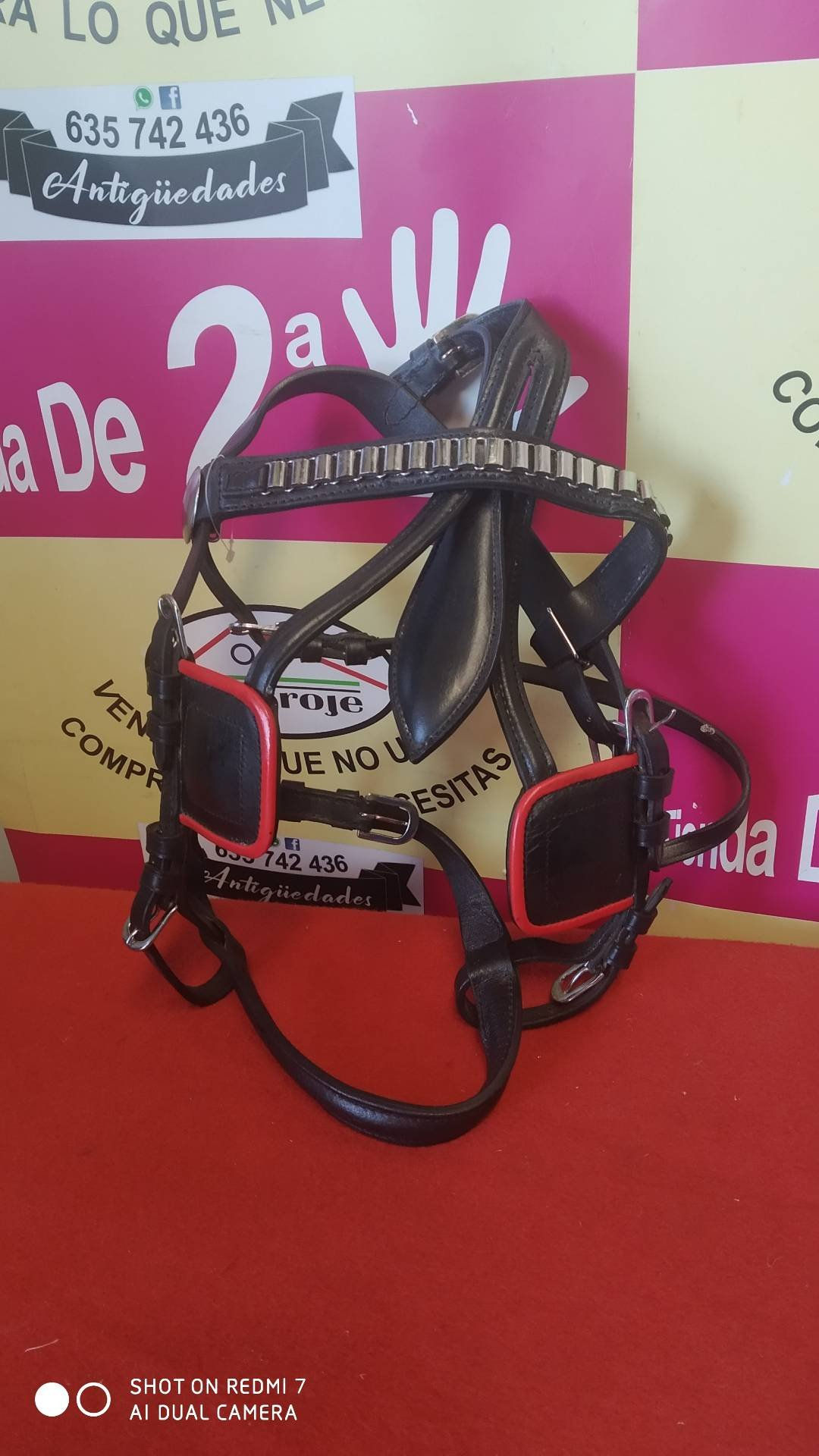 cabezada caballo 260822