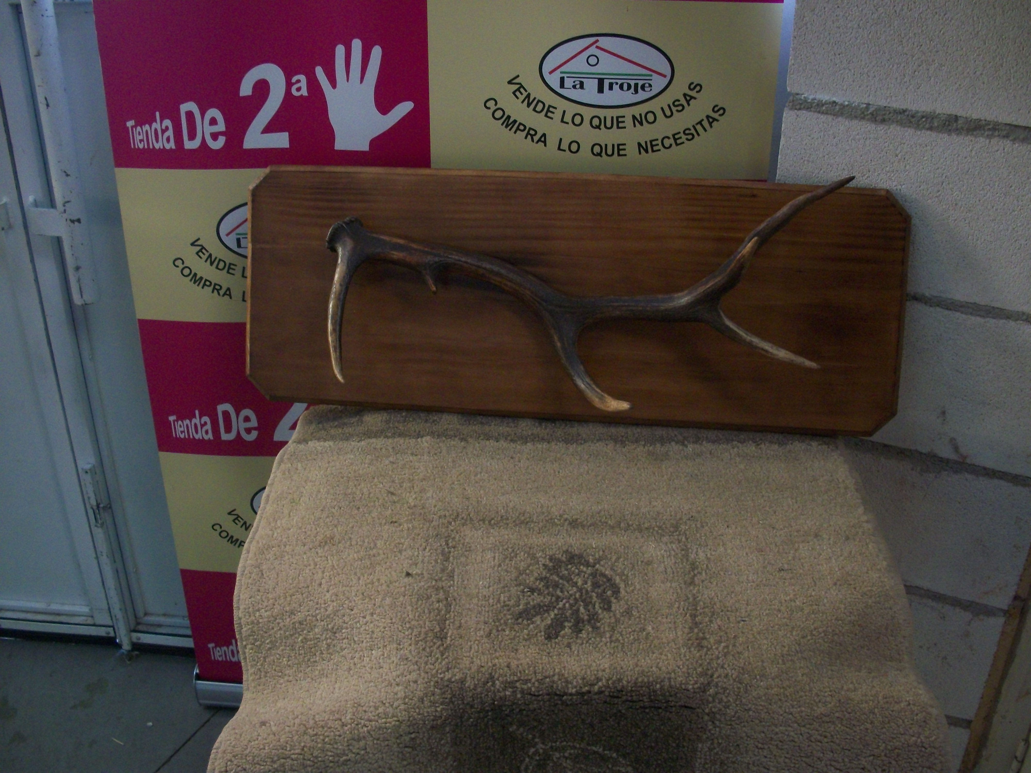 301017 cuerno de venado