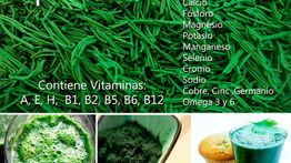 ¿Qué es la espirulina?