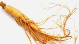 ¿Qué es el ginseng y para que sirve?