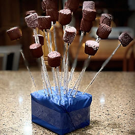 Chocolate Covered Marshmallow Handmade Artisan