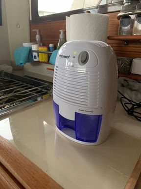 IMG_6207.jpeg