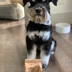 Zoe (2019) 480.jpeg