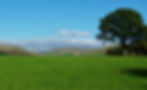 Around Appleby